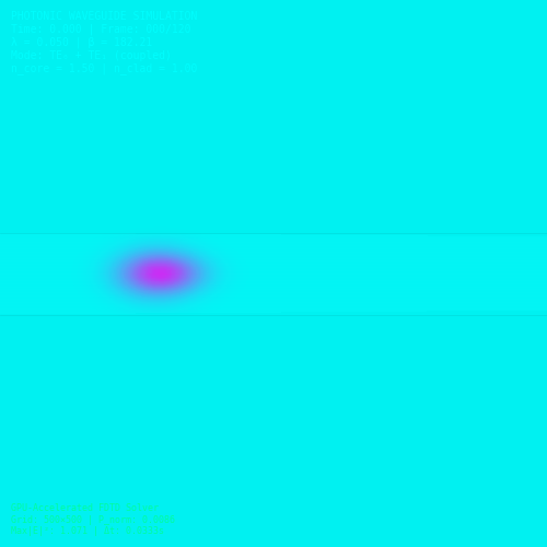 Physics Simulation (Computational Field)